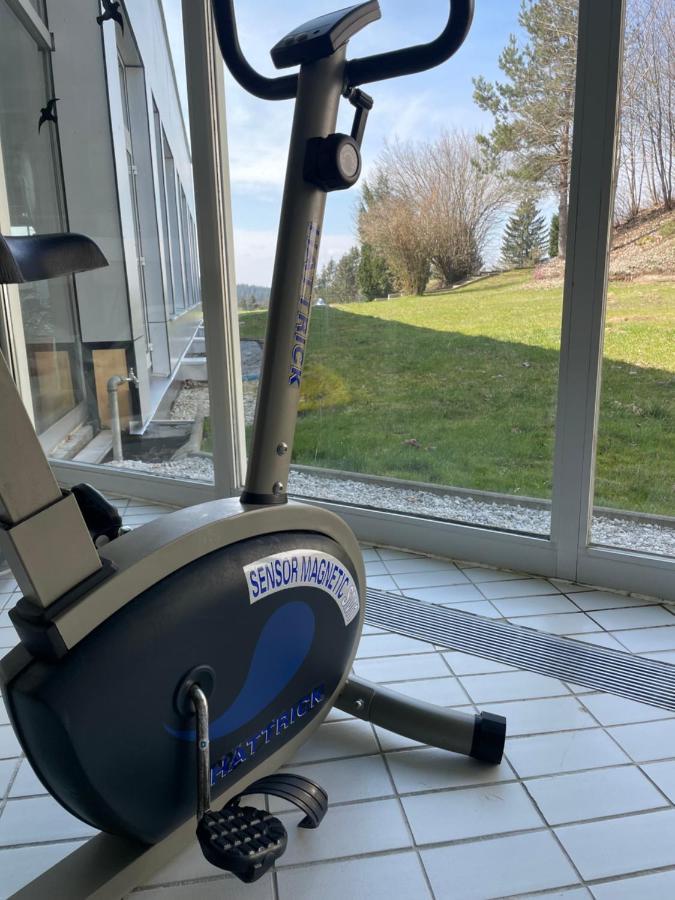 Dreisessel Dreilaendereck Pool Sauna Neureichenau Exteriör bild